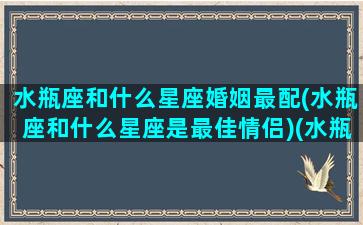 水瓶座和什么星座婚姻最配(水瓶座和什么星座是最佳情侣)(水瓶座跟什么星座最配)