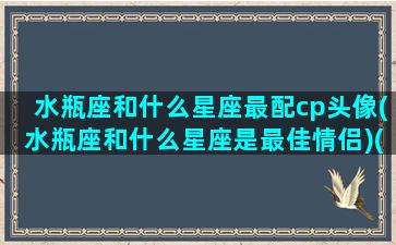 水瓶座和什么星座最配cp头像(水瓶座和什么星座是最佳情侣)(水瓶座和哪个星座最搭配情侣)