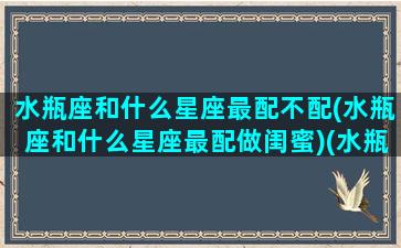 水瓶座和什么星座最配不配(水瓶座和什么星座最配做闺蜜)(水瓶和什么星座绝配)