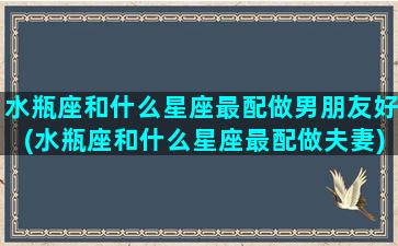 水瓶座和什么星座最配做男朋友好(水瓶座和什么星座最配做夫妻)(水瓶座跟什么星座最适合谈恋爱)