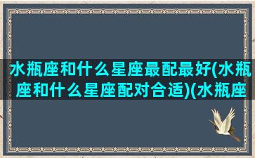 水瓶座和什么星座最配最好(水瓶座和什么星座配对合适)(水瓶座和什么星座比较般配)