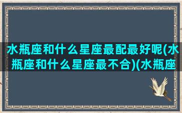 水瓶座和什么星座最配最好呢(水瓶座和什么星座最不合)(水瓶座与什么星座最搭配)