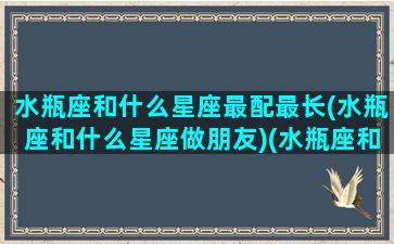 水瓶座和什么星座最配最长(水瓶座和什么星座做朋友)(水瓶座和什么星座在一起最合适)