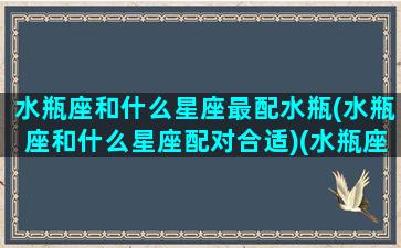 水瓶座和什么星座最配水瓶(水瓶座和什么星座配对合适)(水瓶座和什么星座般配)