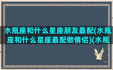 水瓶座和什么星座朋友最配(水瓶座和什么星座最配做情侣)(水瓶座和什么星座是最好的朋友)