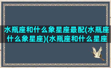 水瓶座和什么象星座最配(水瓶座什么象星座)(水瓶座和什么星座最有缘)