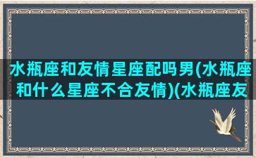 水瓶座和友情星座配吗男(水瓶座和什么星座不合友情)(水瓶座友谊的最佳配对指数)