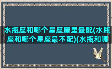 水瓶座和哪个星座屋里最配(水瓶座和哪个星座最不配)(水瓶和哪个星座最搭配)