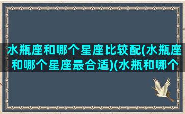 水瓶座和哪个星座比较配(水瓶座和哪个星座最合适)(水瓶和哪个星座更配)