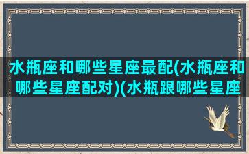 水瓶座和哪些星座最配(水瓶座和哪些星座配对)(水瓶跟哪些星座最配)