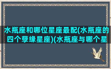 水瓶座和哪位星座最配(水瓶座的四个孽缘星座)(水瓶座与哪个星座最配对)