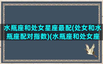 水瓶座和处女星座最配(处女和水瓶座配对指数)(水瓶座和处女座的匹配)