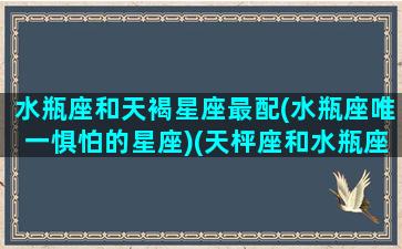 水瓶座和天褐星座最配(水瓶座唯一惧怕的星座)(天枰座和水瓶座合适嘛)