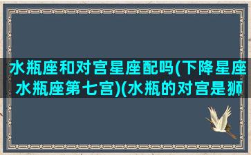 水瓶座和对宫星座配吗(下降星座水瓶座第七宫)(水瓶的对宫是狮子)