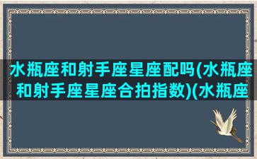 水瓶座和射手座星座配吗(水瓶座和射手座星座合拍指数)(水瓶座和射手座的匹配程度)