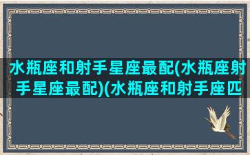 水瓶座和射手星座最配(水瓶座射手星座最配)(水瓶座和射手座匹配指数)