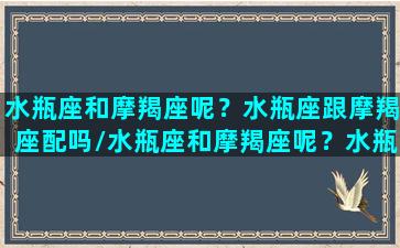 水瓶座和摩羯座呢？水瓶座跟摩羯座配吗/水瓶座和摩羯座呢？水瓶座跟摩羯座配吗-我的网站