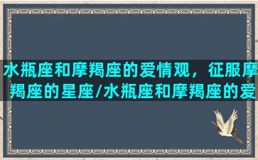 水瓶座和摩羯座的爱情观，征服摩羯座的星座/水瓶座和摩羯座的爱情观，征服摩羯座的星座-我的网站