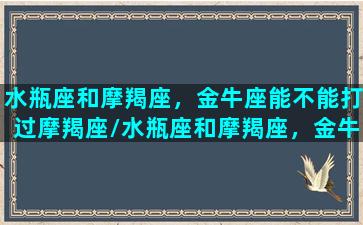 水瓶座和摩羯座，金牛座能不能打过摩羯座/水瓶座和摩羯座，金牛座能不能打过摩羯座-我的网站