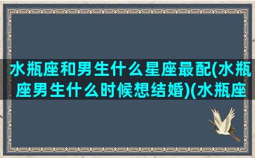 水瓶座和男生什么星座最配(水瓶座男生什么时候想结婚)(水瓶座男和哪个星座合适)