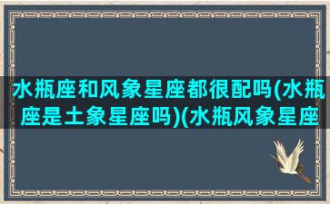 水瓶座和风象星座都很配吗(水瓶座是土象星座吗)(水瓶风象星座的特点)