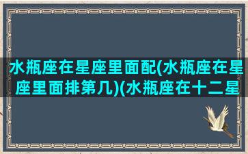 水瓶座在星座里面配(水瓶座在星座里面排第几)(水瓶座在十二星座里面是什么地位)