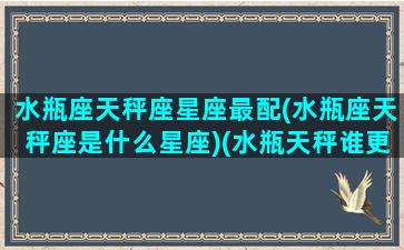 水瓶座天秤座星座最配(水瓶座天秤座是什么星座)(水瓶天秤谁更狠)