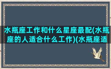 水瓶座工作和什么星座最配(水瓶座的人适合什么工作)(水瓶座适合与什么星座做朋友)