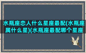 水瓶座恋人什么星座最配(水瓶座属什么星)(水瓶座最配哪个星座做情侣)