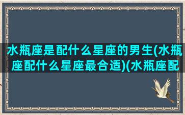 水瓶座是配什么星座的男生(水瓶座配什么星座最合适)(水瓶座配什么样的男朋友)