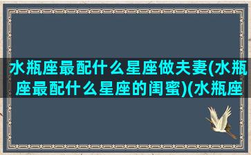 水瓶座最配什么星座做夫妻(水瓶座最配什么星座的闺蜜)(水瓶座最般配什么星座)