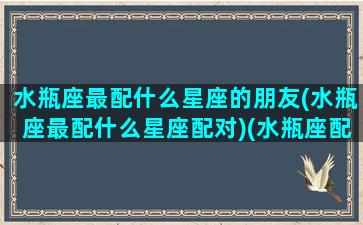 水瓶座最配什么星座的朋友(水瓶座最配什么星座配对)(水瓶座配啥星座最好)