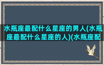 水瓶座最配什么星座的男人(水瓶座最配什么星座的人)(水瓶座配什么样的男朋友)