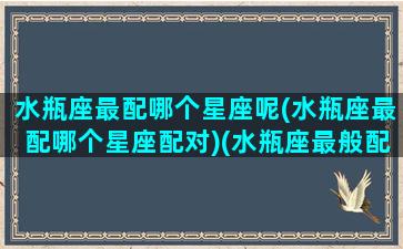 水瓶座最配哪个星座呢(水瓶座最配哪个星座配对)(水瓶座最般配的星座是什么星座)