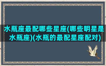 水瓶座最配哪些星座(哪些眀星是水瓶座)(水瓶的最配星座配对)