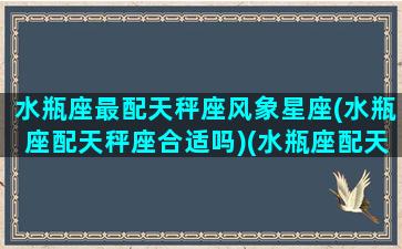 水瓶座最配天秤座风象星座(水瓶座配天秤座合适吗)(水瓶座配天秤座多少分)