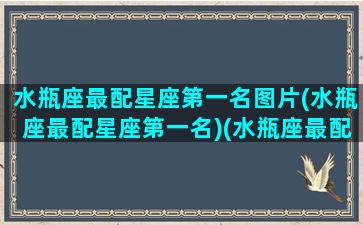 水瓶座最配星座第一名图片(水瓶座最配星座第一名)(水瓶座最配的是)