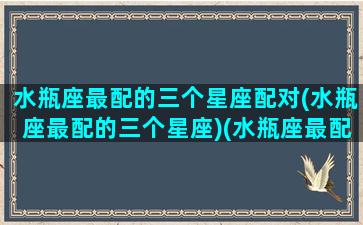 水瓶座最配的三个星座配对(水瓶座最配的三个星座)(水瓶座最配的星座是什么做)