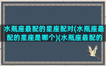 水瓶座最配的星座配对(水瓶座最配的星座是哪个)(水瓶座最配的星座是什么做)