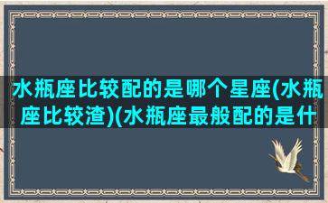 水瓶座比较配的是哪个星座(水瓶座比较渣)(水瓶座最般配的是什么星座)