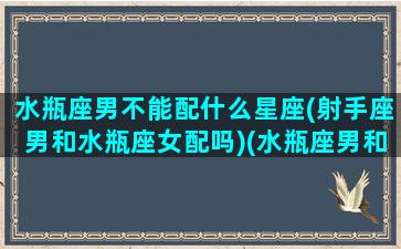 水瓶座男不能配什么星座(射手座男和水瓶座女配吗)(水瓶座男和射手女星座最配)