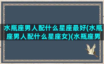 水瓶座男人配什么星座最好(水瓶座男人配什么星座女)(水瓶座男生搭配什么星座女生)