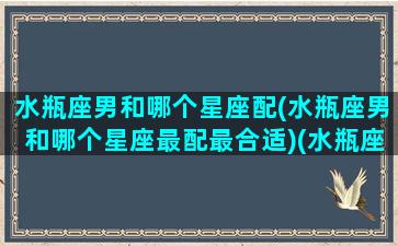 水瓶座男和哪个星座配(水瓶座男和哪个星座最配最合适)(水瓶座男跟什么星座合适)