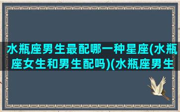 水瓶座男生最配哪一种星座(水瓶座女生和男生配吗)(水瓶座男生和什么星座女生最般配)