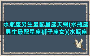 水瓶座男生最配星座天蝎(水瓶座男生最配星座狮子座女)(水瓶座男和天蝎座配吗)