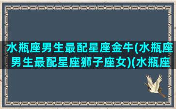 水瓶座男生最配星座金牛(水瓶座男生最配星座狮子座女)(水瓶座男和金牛座配吗)