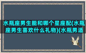 水瓶座男生能和哪个星座配(水瓶座男生喜欢什么礼物)(水瓶男适合和什么星座在一起)