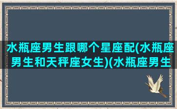 水瓶座男生跟哪个星座配(水瓶座男生和天秤座女生)(水瓶座男生跟哪个星座最配)