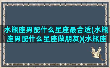 水瓶座男配什么星座最合适(水瓶座男配什么星座做朋友)(水瓶座男配哪个星座)