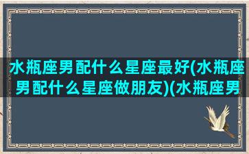 水瓶座男配什么星座最好(水瓶座男配什么星座做朋友)(水瓶座男配什么星座女最合适)